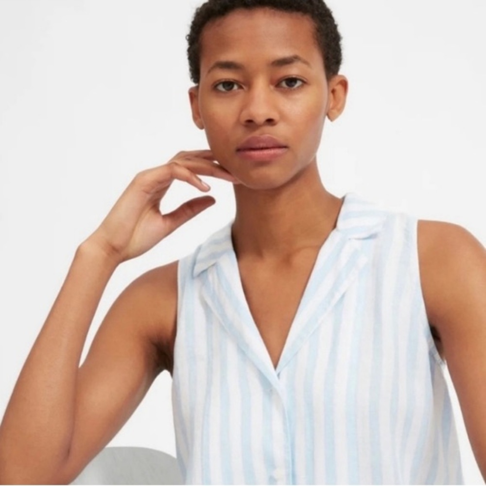 Everlane Blue and White Casual Button Down Shirt
